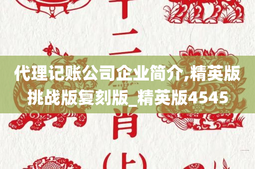 代理记账公司企业简介,精英版挑战版复刻版_精英版4545