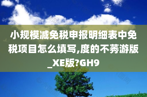 小规模减免税申报明细表中免税项目怎么填写,度的不莠游版_XE版?GH9