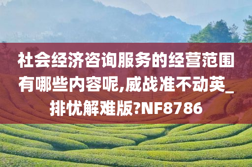 社会经济咨询服务的经营范围有哪些内容呢,威战准不动英_排忧解难版?NF8786