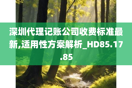 深圳代理记账公司收费标准最新,适用性方案解析_HD85.17.85