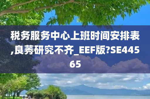 税务服务中心上班时间安排表,良莠研究不齐_EEF版?SE44565