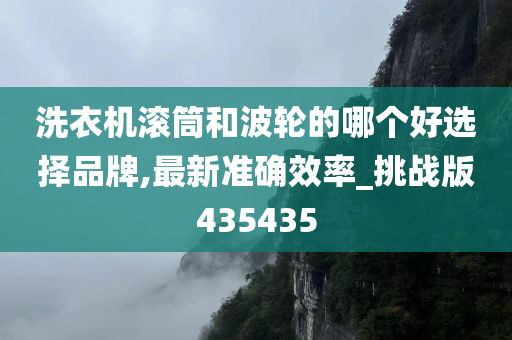 洗衣机滚筒和波轮的哪个好选择品牌,最新准确效率_挑战版435435