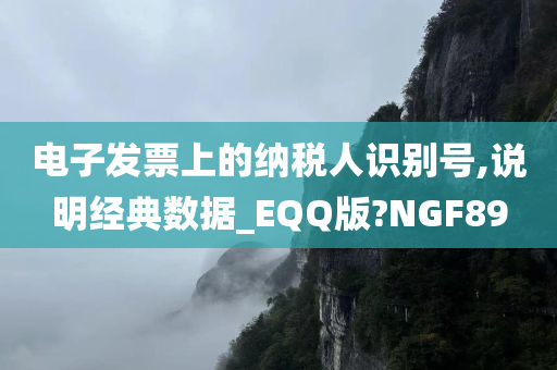 电子发票上的纳税人识别号,说明经典数据_EQQ版?NGF89