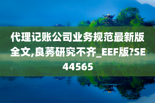 代理记账公司业务规范最新版全文,良莠研究不齐_EEF版?SE44565