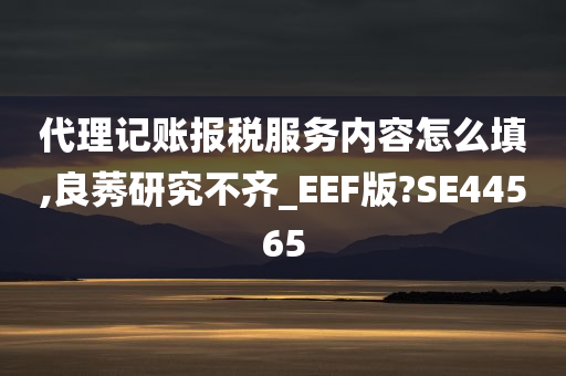 代理记账报税服务内容怎么填,良莠研究不齐_EEF版?SE44565