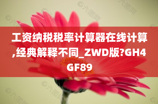 工资纳税税率计算器在线计算,经典解释不同_ZWD版?GH4GF89