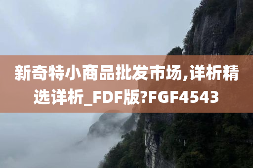 新奇特小商品批发市场,详析精选详析_FDF版?FGF4543