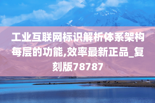 工业互联网标识解析体系架构每层的功能,效率最新正品_复刻版78787