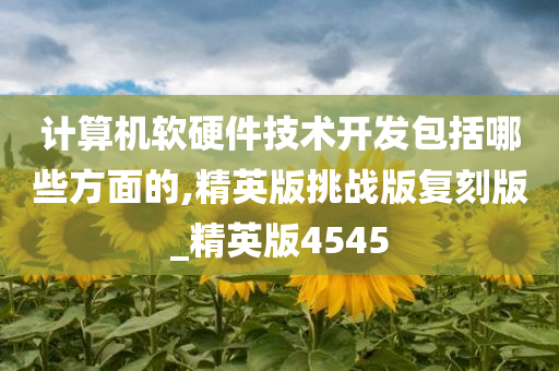 计算机软硬件技术开发包括哪些方面的,精英版挑战版复刻版_精英版4545