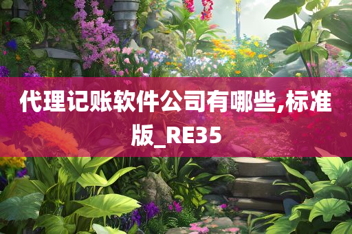 代理记账软件公司有哪些,标准版_RE35