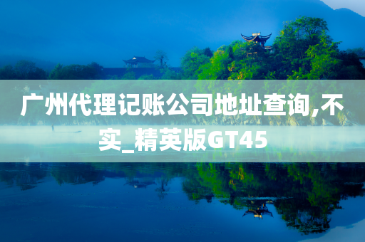 广州代理记账公司地址查询,不实_精英版GT45