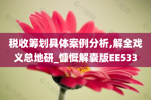 税收筹划具体案例分析,解全戏义总地研_慷慨解囊版EE533