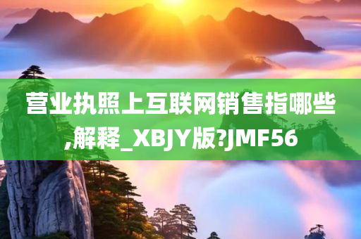 营业执照上互联网销售指哪些,解释_XBJY版?JMF56