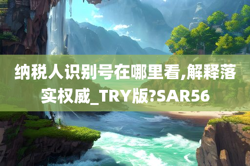 纳税人识别号在哪里看,解释落实权威_TRY版?SAR56