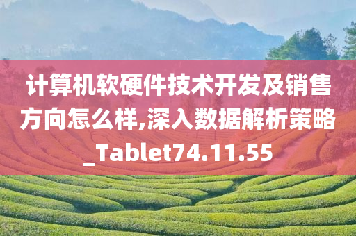 计算机软硬件技术开发及销售方向怎么样,深入数据解析策略_Tablet74.11.55