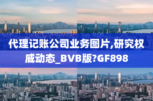 代理记账公司业务图片,研究权威动态_BVB版?GF898