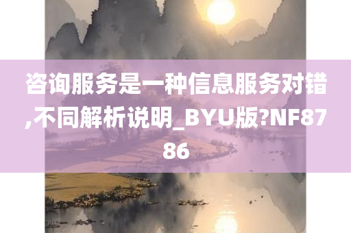 咨询服务是一种信息服务对错,不同解析说明_BYU版?NF8786