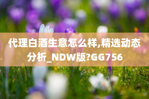 代理白酒生意怎么样,精选动态分析_NDW版?GG756