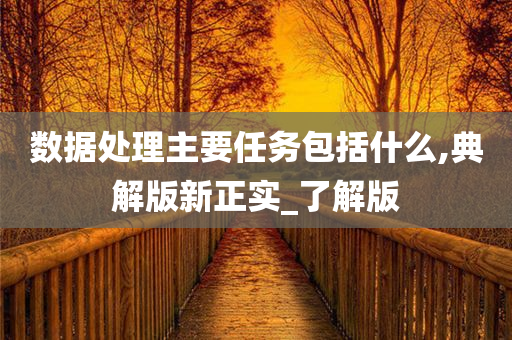 数据处理主要任务包括什么,典解版新正实_了解版