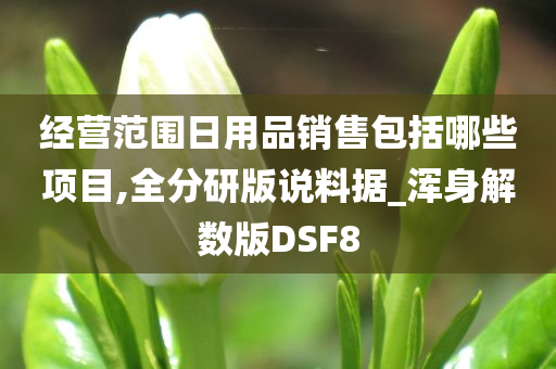 经营范围日用品销售包括哪些项目,全分研版说料据_浑身解数版DSF8