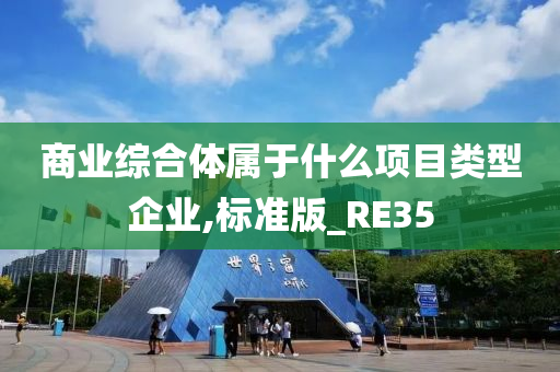 商业综合体属于什么项目类型企业,标准版_RE35