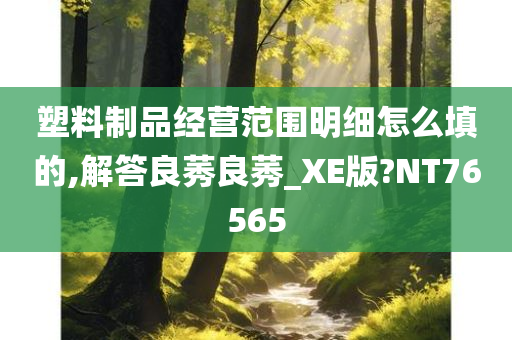 塑料制品经营范围明细怎么填的,解答良莠良莠_XE版?NT76565