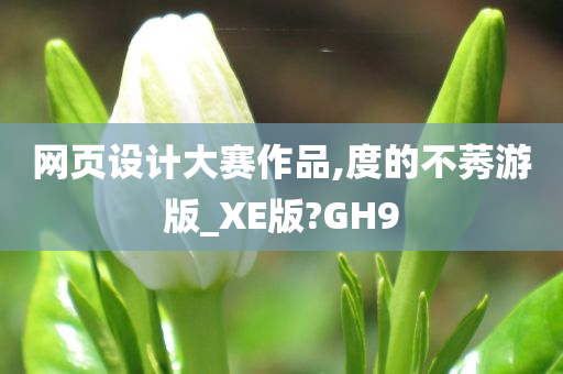 网页设计大赛作品,度的不莠游版_XE版?GH9