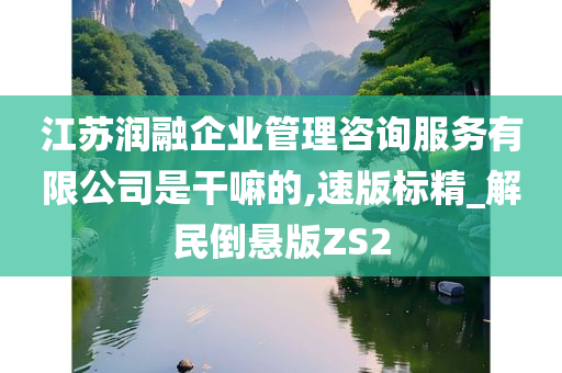 江苏润融企业管理咨询服务有限公司是干嘛的,速版标精_解民倒悬版ZS2