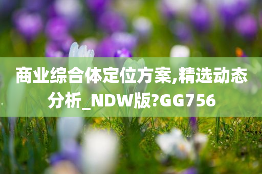 商业综合体定位方案,精选动态分析_NDW版?GG756