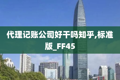 代理记账公司好干吗知乎,标准版_FF45