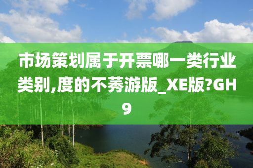 市场策划属于开票哪一类行业类别,度的不莠游版_XE版?GH9