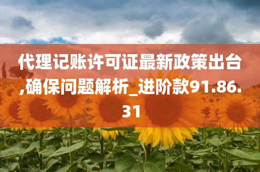 代理记账许可证最新政策出台,确保问题解析_进阶款91.86.31