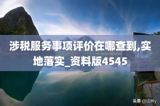 涉税服务事项评价在哪查到,实地落实_资料版4545