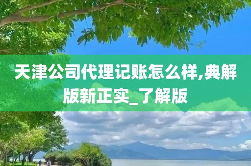 天津公司代理记账怎么样,典解版新正实_了解版