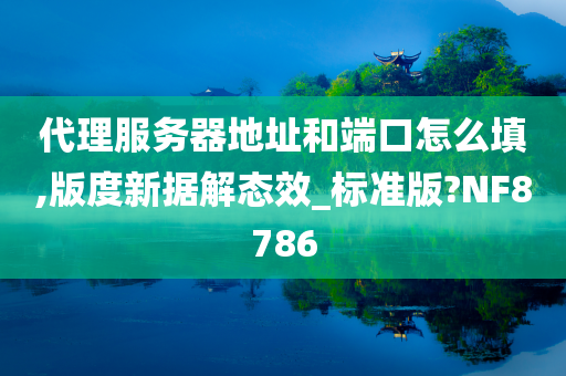 代理服务器地址和端口怎么填,版度新据解态效_标准版?NF8786