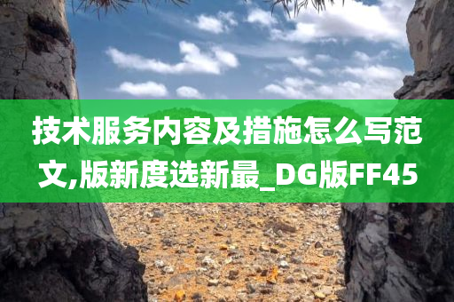 技术服务内容及措施怎么写范文,版新度选新最_DG版FF45