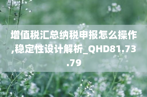 增值税汇总纳税申报怎么操作,稳定性设计解析_QHD81.73.79