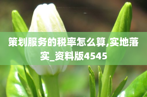 策划服务的税率怎么算,实地落实_资料版4545