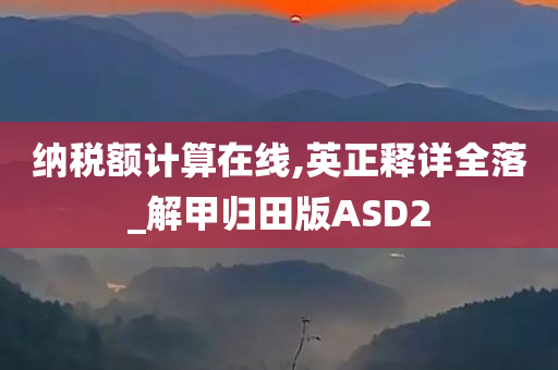 纳税额计算在线,英正释详全落_解甲归田版ASD2