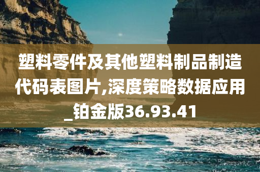 塑料零件及其他塑料制品制造代码表图片,深度策略数据应用_铂金版36.93.41