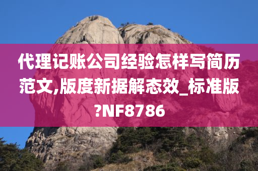 代理记账公司经验怎样写简历范文,版度新据解态效_标准版?NF8786