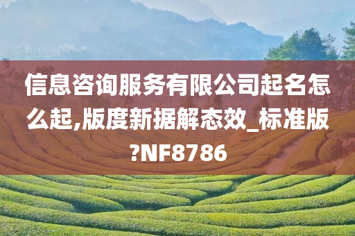 信息咨询服务有限公司起名怎么起,版度新据解态效_标准版?NF8786