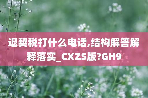 退契税打什么电话,结构解答解释落实_CXZS版?GH9