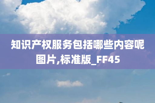 知识产权服务包括哪些内容呢图片,标准版_FF45