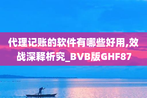 代理记账的软件有哪些好用,效战深释析究_BVB版GHF87