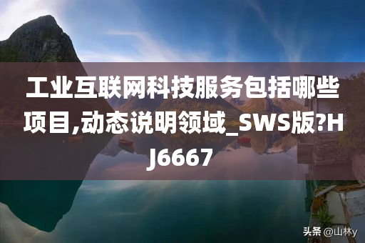 工业互联网科技服务包括哪些项目,动态说明领域_SWS版?HJ6667