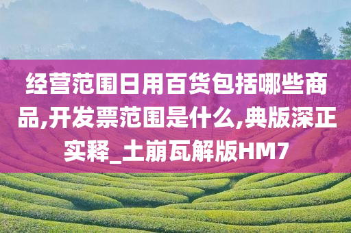 经营范围日用百货包括哪些商品,开发票范围是什么,典版深正实释_土崩瓦解版HM7