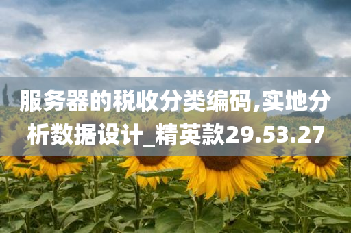 服务器的税收分类编码,实地分析数据设计_精英款29.53.27