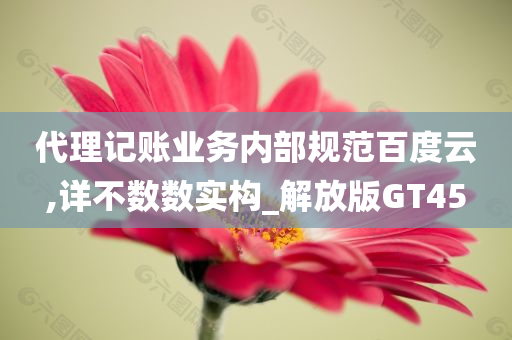 代理记账业务内部规范百度云,详不数数实构_解放版GT45