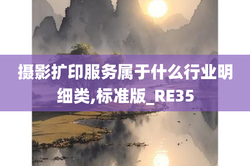 摄影扩印服务属于什么行业明细类,标准版_RE35